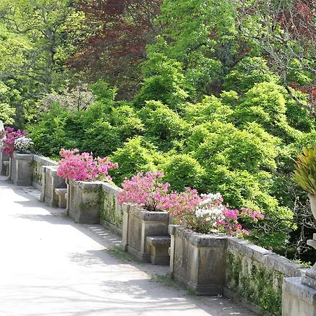 科英布拉高地公寓 科英布拉