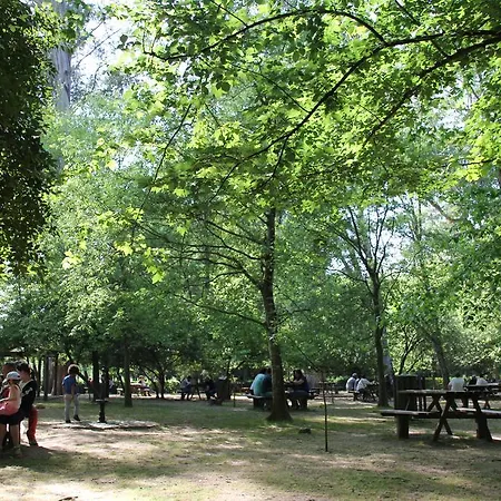 科英布拉高地公寓 公寓 *